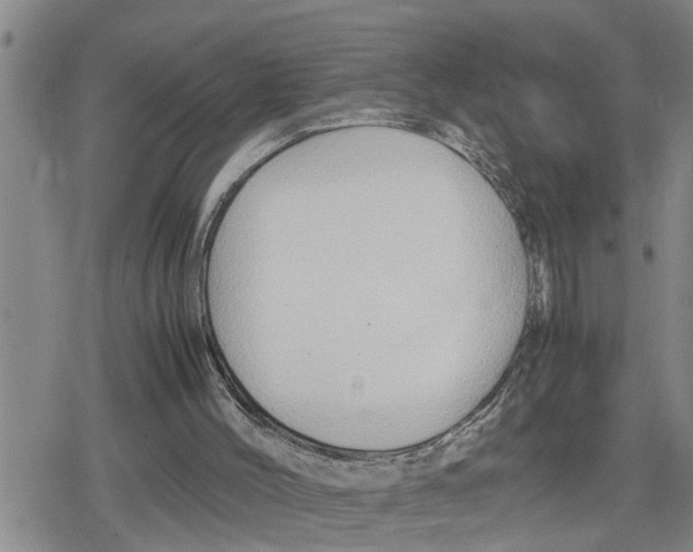 X0000079300004200612151739