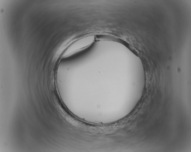 X0000079300005200612151739