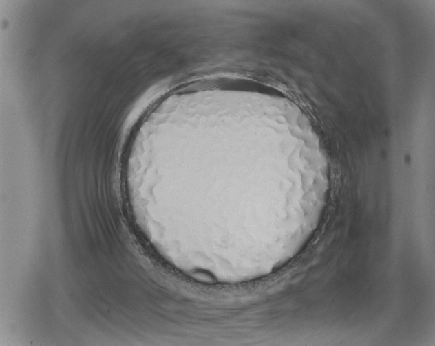 X0000079300006200612151739