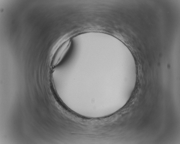 X0000079300007200612151739