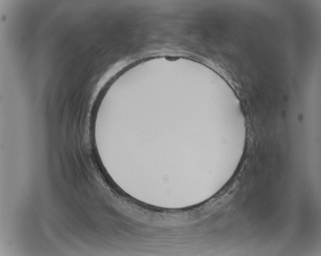 X0000079300008200612151739