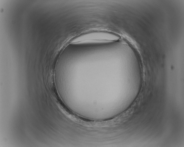 X0000079300009200612151739