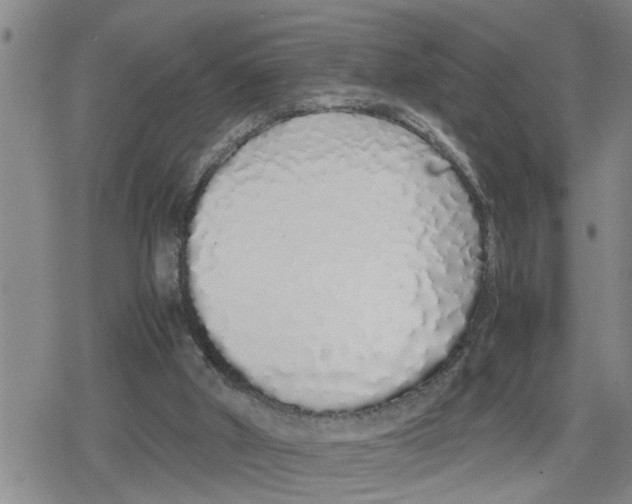 X0000079300010200612151739