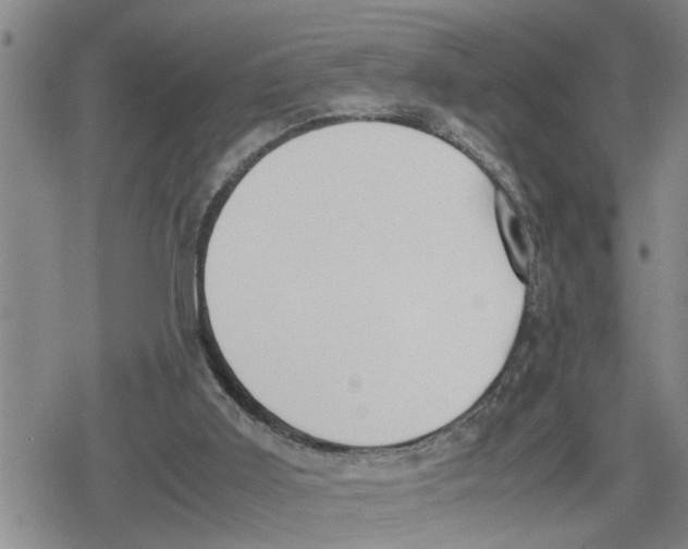 X0000079300011200612151738