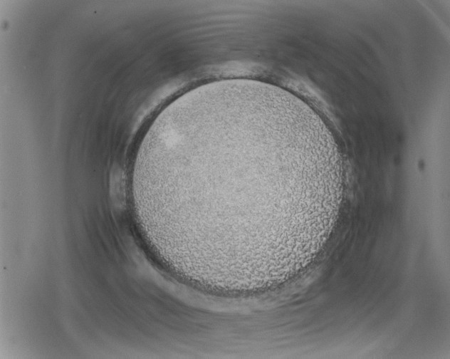 X0000079300012200612151738