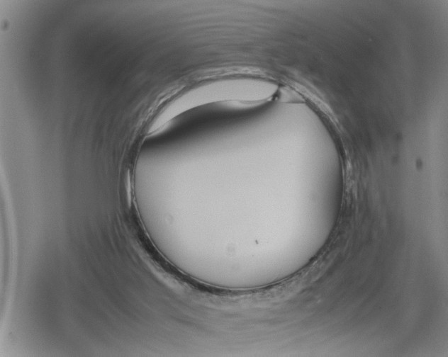 X0000079300013200612151738