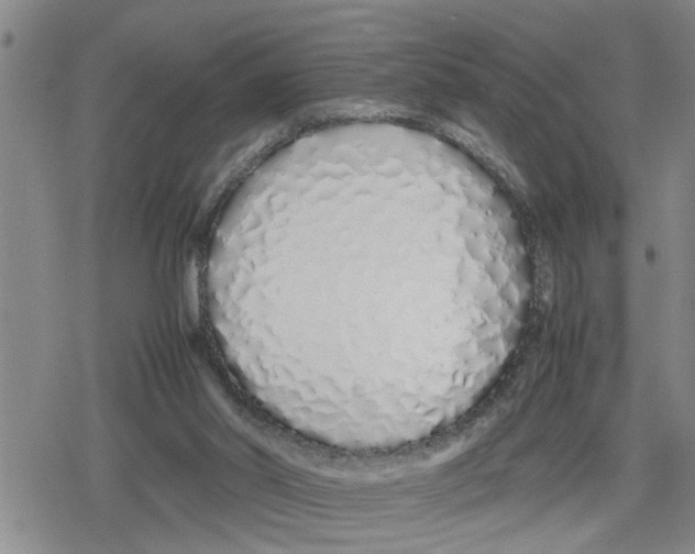 X0000079300014200612151738