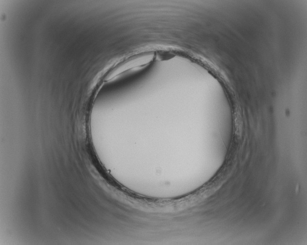 X0000079300015200612151738