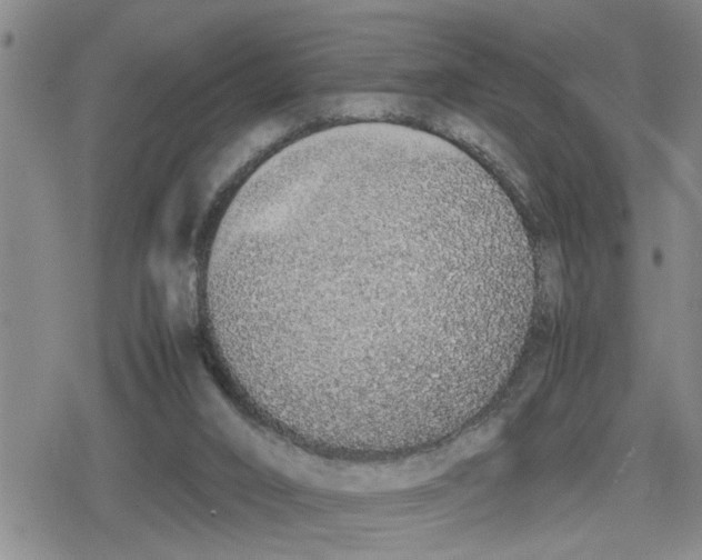 X0000079300016200612151738