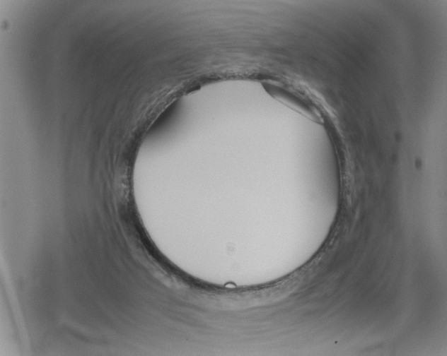 X0000079300017200612151738