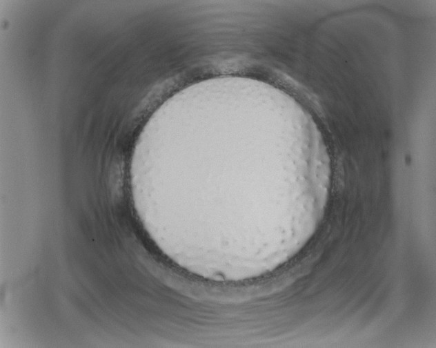 X0000079300018200612151738