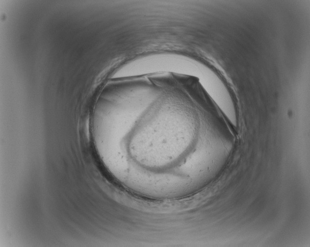 X0000079300019200612151738