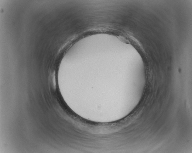 X0000079300020200612151738