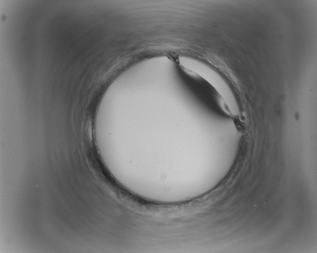 X0000079300021200612151738