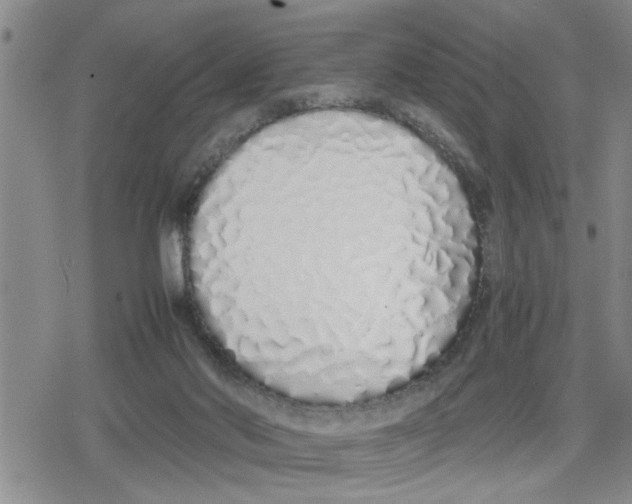 X0000079300022200612151738