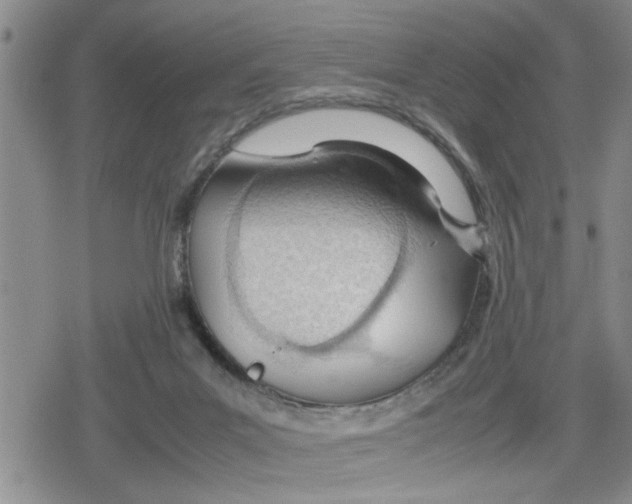 X0000079300023200612151738