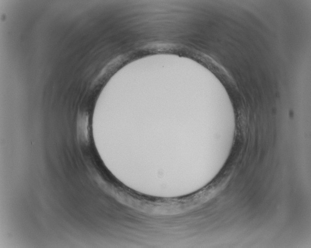 X0000079300024200612151738