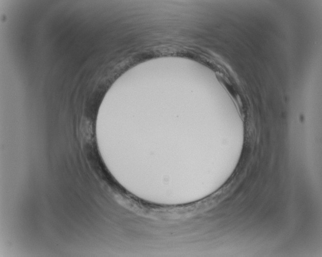 X0000079300025200612151738