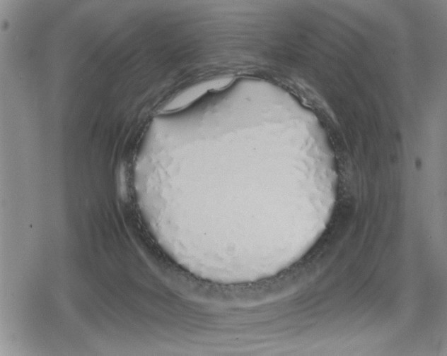 X0000079300026200612151738