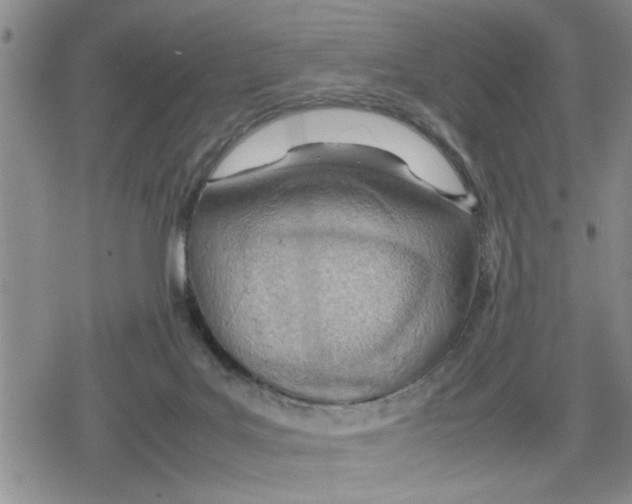 X0000079300027200612151738