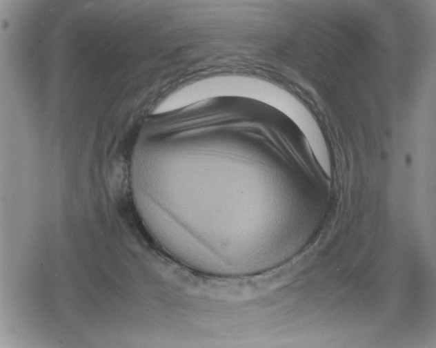 X0000079300029200612151738