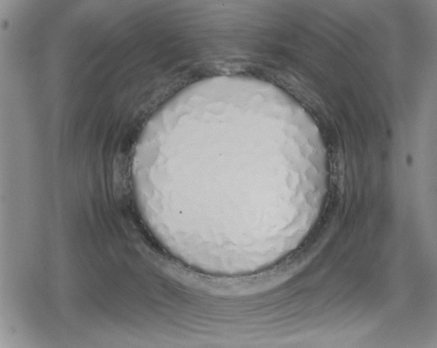 X0000079300030200612151738