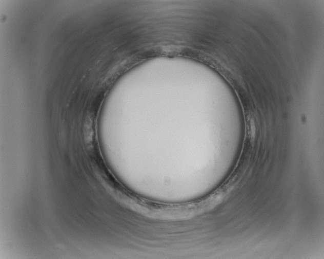 X0000079300032200612151738