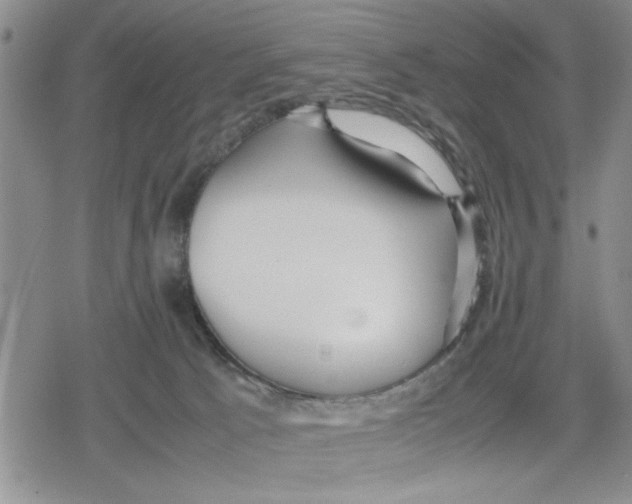 X0000079300033200612151738