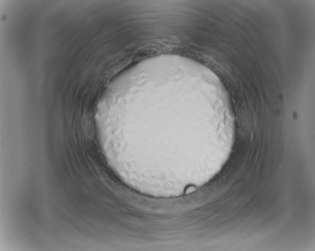 X0000079300034200612151738