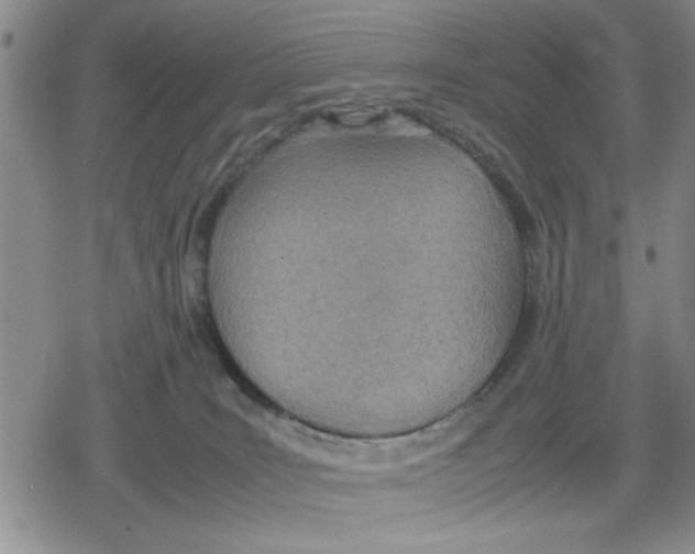 X0000079300035200612151738