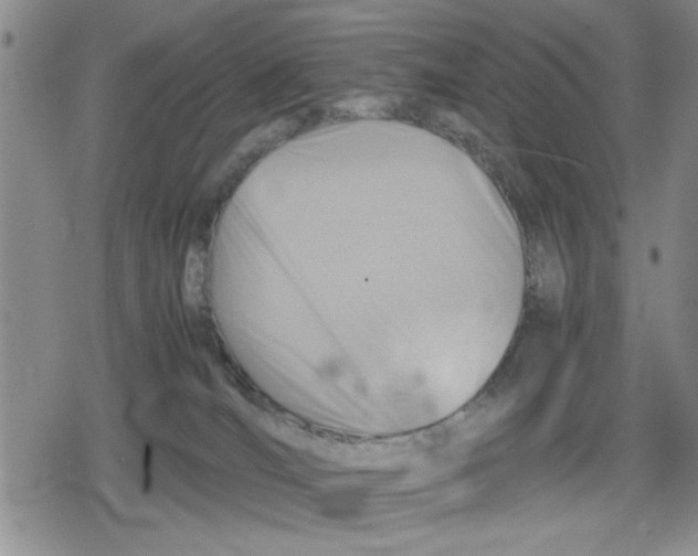 X0000079300036200612151738