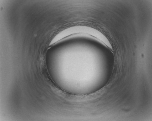 X0000079300037200612151738