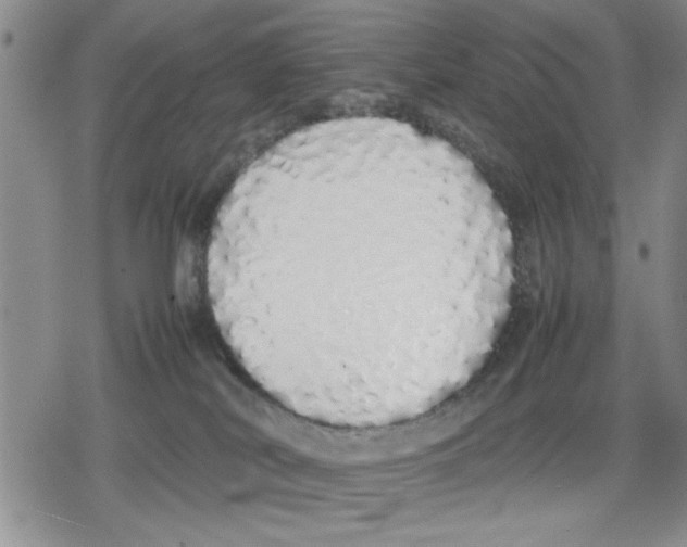 X0000079300038200612151738