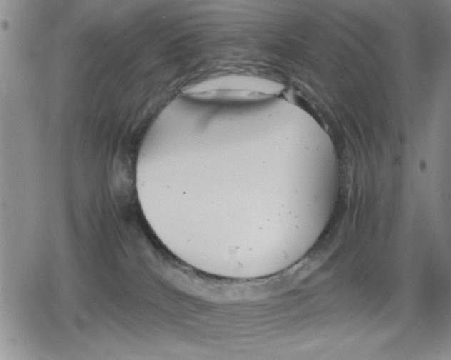 X0000079300040200612151738