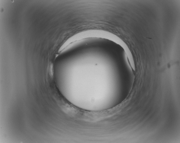 X0000079300041200612151738