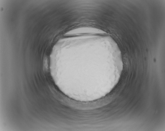 X0000079300042200612151738