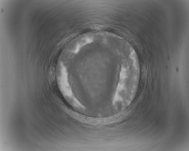 X0000079300043200612151738