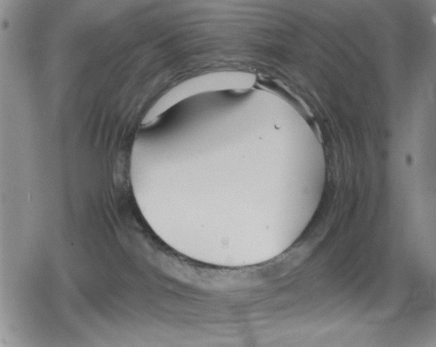 X0000079300044200612151738