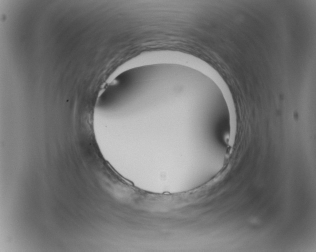 X0000079300045200612151738