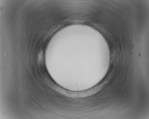 X0000079300046200612151738