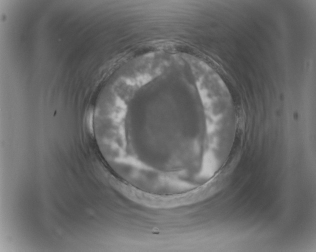 X0000079300047200612151738