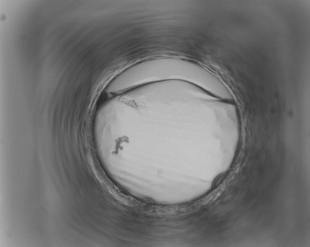 X0000079300049200612151737