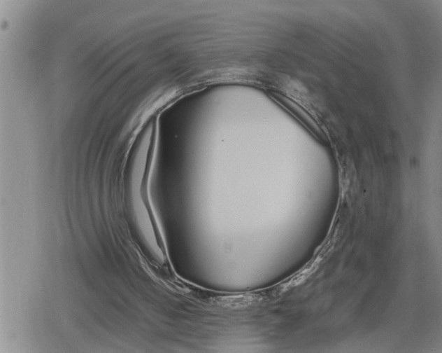 X0000079300050200612151737