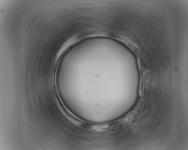 X0000079300051200612151737