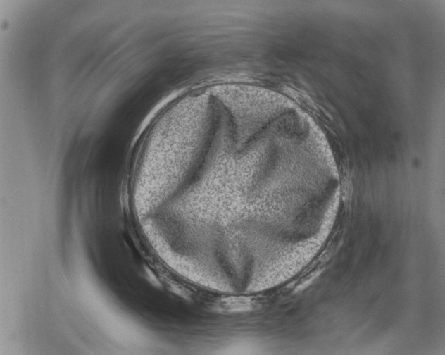 X0000079300052200612151737