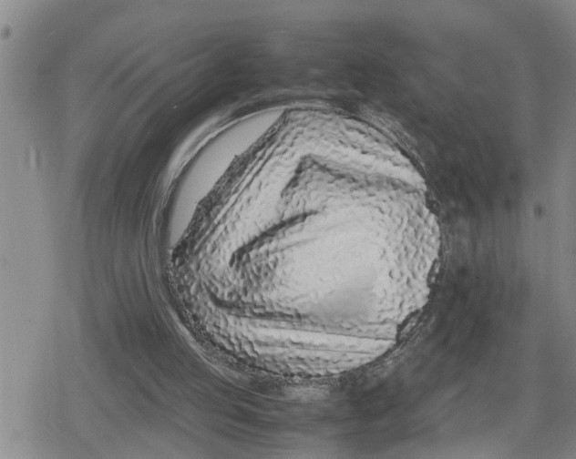 X0000079300053200612151737