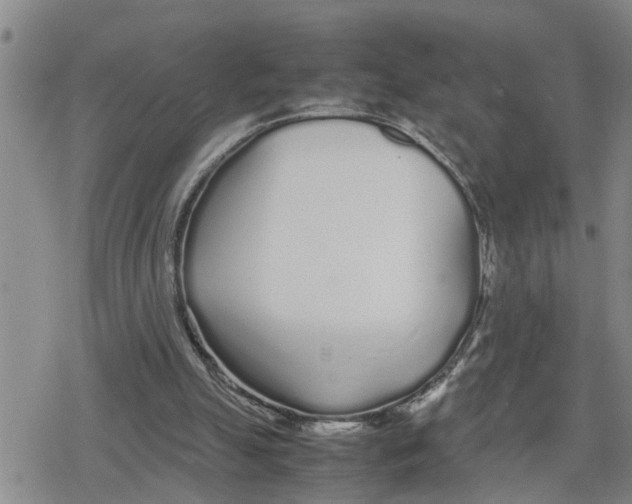 X0000079300055200612151737