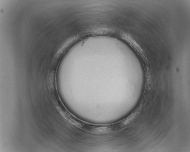 X0000079300058200612151737