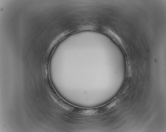 X0000079300059200612151737