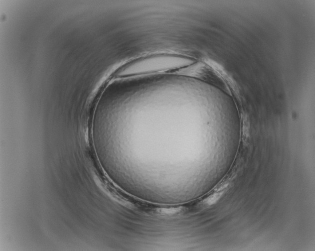 X0000079300060200612151737